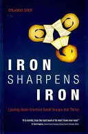 Eisen schärft Eisen: Biblisch orientierte Kleingruppen leiten, die gedeihen - Iron Sharpens Iron: Leading Bible-Oriented Small Groups That Thrive