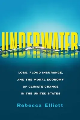 Unter Wasser: Verlust, Hochwasserversicherung und die moralische Ökonomie des Klimawandels in den Vereinigten Staaten - Underwater: Loss, Flood Insurance, and the Moral Economy of Climate Change in the United States