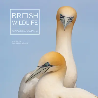 Britische Preise für Wildtierfotografie 10 - British Wildlife Photography Awards 10