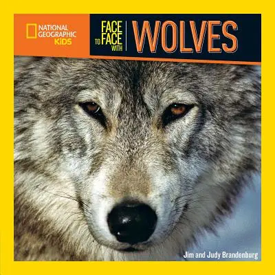 Von Angesicht zu Angesicht mit den Wölfen - Face to Face with Wolves