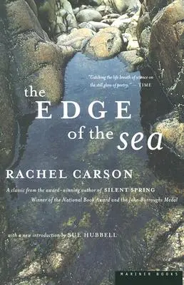 Der Rand des Meeres - The Edge of the Sea