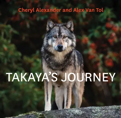 Takayas Reise - Takaya's Journey