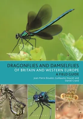 Libellen und Prachtlibellen in Großbritannien und Westeuropa: Ein fotografischer Führer - Dragonflies and Damselflies of Britain and Western Europe: A Photographic Guide