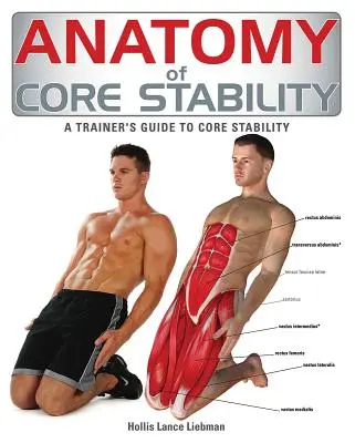 Anatomie der Rumpfstabilität: Leitfaden für Trainer zur Rumpfstabilität - Anatomy of Core Stability: A Trainer's Guide to Core Stability