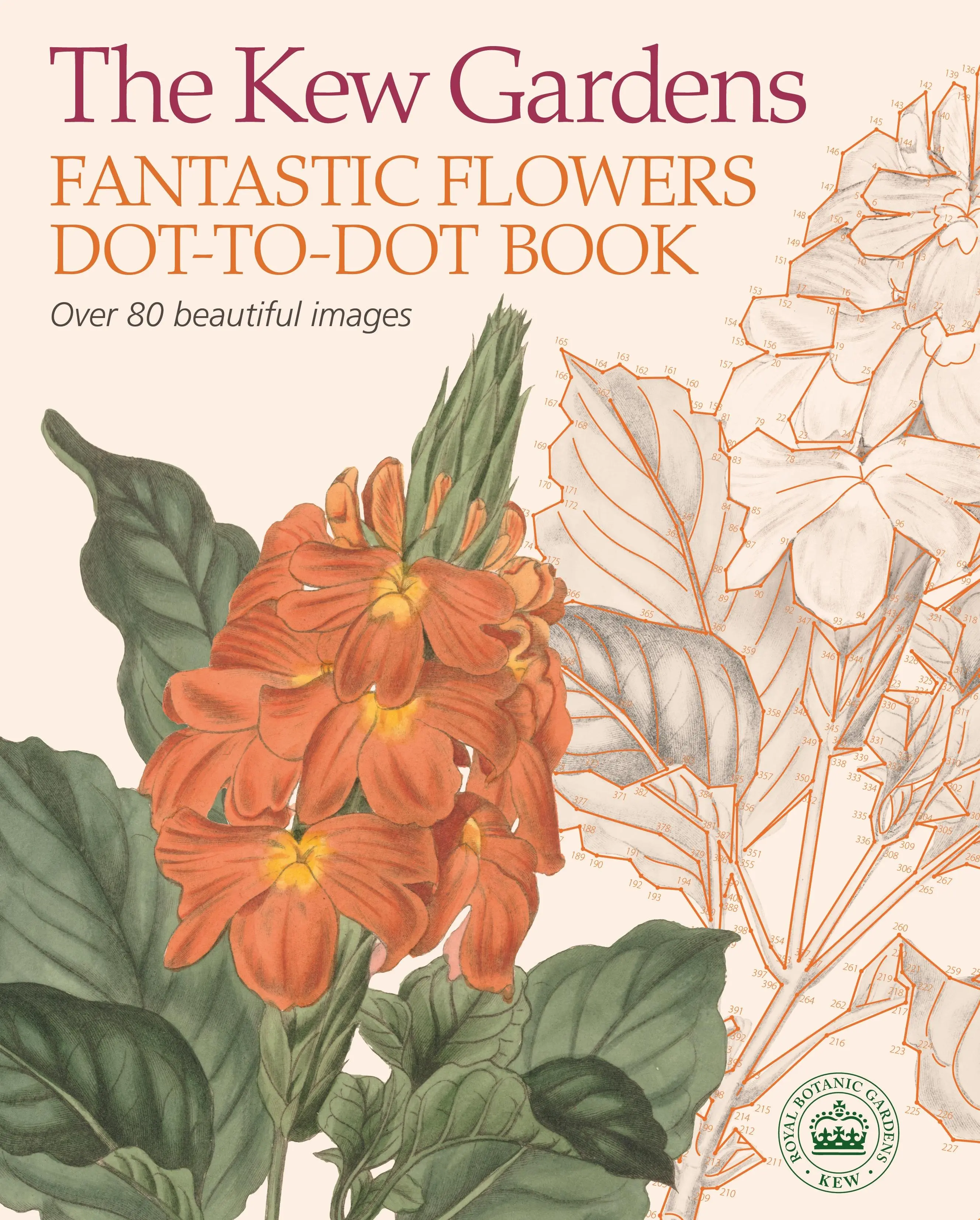 Kew Gardens Fantastische Blumen Punkt-zu-Punkt-Buch - Kew Gardens Fantastic Flowers Dot-to-Dot Book