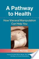 Ein Weg zur Gesundheit: Wie viszerale Manipulation Ihnen helfen kann - A Pathway to Health: How Visceral Manipulation Can Help You
