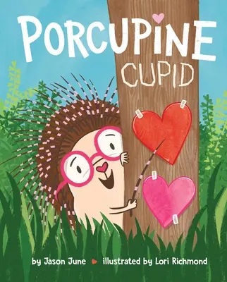 Stachelschwein Cupid - Porcupine Cupid