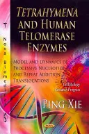 Tetrahymena und menschliche Telomerase-Enzyme - Modell und Dynamik prozessiver Nukleotid- und Repeat-Additions-Translokationen - Tetrahymena & Human Telomerase Enzymes - Model & Dynamics of Processive Nucleotide & Repeat Addition Translocations