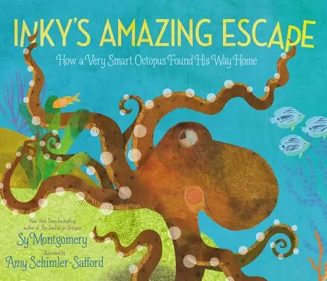 Inky's Amazing Escape: Wie ein sehr intelligenter Oktopus seinen Weg nach Hause fand - Inky's Amazing Escape: How a Very Smart Octopus Found His Way Home