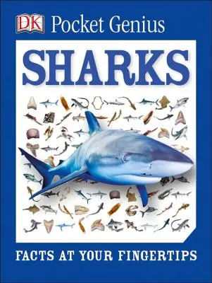 Pocket Genius: Haie: Fakten auf Knopfdruck - Pocket Genius: Sharks: Facts at Your Fingertips
