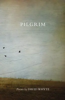 Pilgrim (Überarbeitet) (Überarbeitet) - Pilgrim (Revised) (Revised)