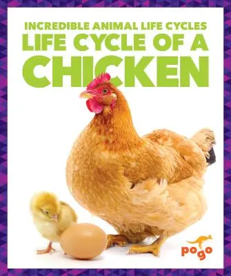 Lebenszyklus eines Huhns - Life Cycle of a Chicken