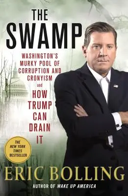 Sumpf - Washingtons trübes Becken der Korruption und Vetternwirtschaft und wie Trump es trockenlegen kann - Swamp - Washington's Murky Pool of Corruption and Cronyism and How Trump Can Drain It