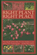 Die richtige Pflanze am richtigen Ort: Die Auswahl der perfekten Pflanze für jeden Standort im Garten, mit 120 Fotos - Right Plant Right Place: Choosing the Perfect Plant for Every Location in Your Garden, with 120 Photographs