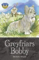 Storyworlds Bridges Stufe 12 Greyfriars Bobby (einzeln) - Storyworlds Bridges Stage 12 Greyfriars Bobby (single)