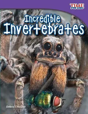 Unglaubliche wirbellose Tiere - Incredible Invertebrates