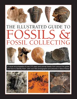 Der illustrierte Leitfaden für Fossilien & Fossiliensammler: Ein Nachschlagewerk für über 375 Pflanzen- und Tierfossilien aus der ganzen Welt und wie man sie identifiziert - The Illustrated Guide to Fossils & Fossil Collecting: A Reference Guide to Over 375 Plant and Animal Fossils from Around the Globe and How to Identify