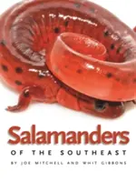 Salamander des Südostens - Salamanders of the Southeast