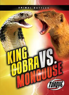 König Kobra vs. Mongoose - King Cobra vs. Mongoose