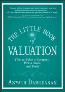 Das kleine Buch der Bewertung: Wie man ein Unternehmen bewertet, eine Aktie auswählt und profitiert - The Little Book of Valuation: How to Value a Company, Pick a Stock, and Profit