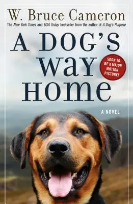 Der Weg eines Hundes nach Hause - A Dog's Way Home