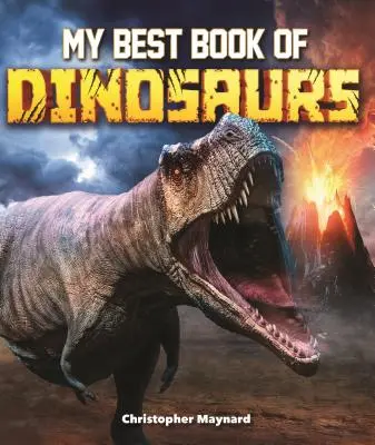Mein bestes Buch über Dinosaurier - My Best Book of Dinosaurs