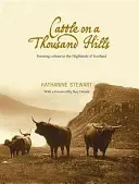 Rinder auf Tausend Hügeln - Cattle on a Thousand Hills