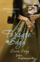 Forsyte Saga 6: Schwanengesang - Forsyte Saga 6: Swan Song