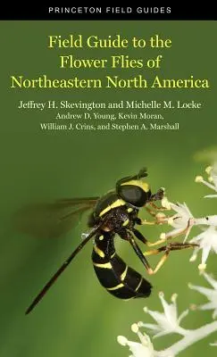 Feldführer zu den Blumenfliegen des nordöstlichen Nordamerikas - Field Guide to the Flower Flies of Northeastern North America