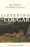 Cougar zuhören - Listening to Cougar