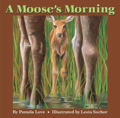Der Morgen eines Elchs - A Moose's Morning
