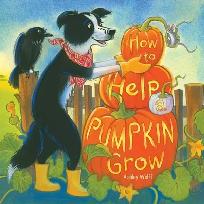 Wie man einem Kürbis beim Wachsen hilft - How to Help a Pumpkin Grow