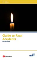 APIL Leitfaden für tödliche Unfälle (Exall Gordon (Barrister Zenith Chambers)) - APIL Guide to Fatal Accidents (Exall Gordon (Barrister Zenith Chambers))