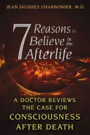 7 Gründe, an das Leben nach dem Tod zu glauben: Ein Arzt überprüft die Argumente für ein Bewusstsein nach dem Tod - 7 Reasons to Believe in the Afterlife: A Doctor Reviews the Case for Consciousness After Death