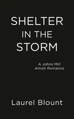 Zuflucht im Sturm - Shelter in the Storm