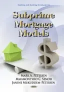 Subprime-Bankenmodelle - Subprime Banking Models