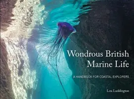 Wondrous British Marine Life - Ein Handbuch für Küstenforscher - Wondrous British Marine Life - A handbook for coastal explorers