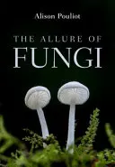 Die Faszination der Pilze - The Allure of Fungi