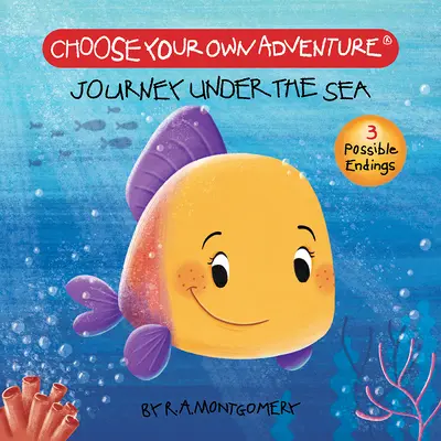 Reise unter das Meer (Pappbuch) - Journey Under the Sea (Board Book)