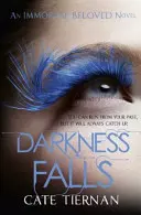 Darkness Falls (Unsterblich geliebt, Buch zwei) - Darkness Falls (Immortal Beloved Book Two)