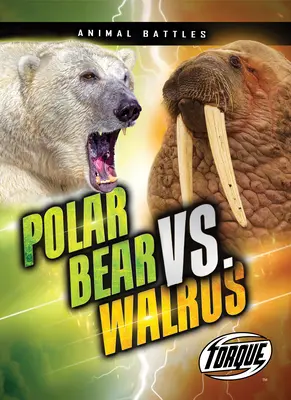 Eisbär vs. Walross - Polar Bear vs. Walrus