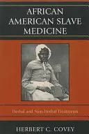Afroamerikanische Sklavenmedizin: Pflanzliche und nicht-pflanzliche Behandlungen - African American Slave Medicine: Herbal and non-Herbal Treatments