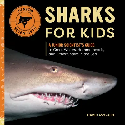 Haie für Kinder: Ein Leitfaden für Nachwuchswissenschaftler über Weiße Haie, Hammerhaie und andere Haie im Meer - Sharks for Kids: A Junior Scientist's Guide to Great Whites, Hammerheads, and Other Sharks in the Sea