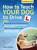 Wie man seinem Hund das Fahren beibringt - How to Teach your Dog to Drive