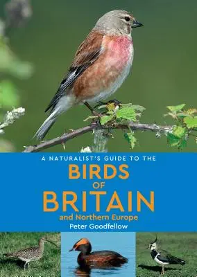 A Naturalist's Guide to the Birds of Britain & Northern Europe (Naturführer für Vögel in Großbritannien und Nordeuropa) - A Naturalist's Guide to the Birds of Britain & Northern Europe