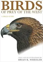 Raubvögel des Westens: Ein Feldführer - Birds of Prey of the West: A Field Guide