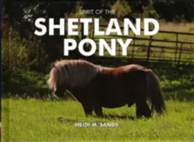 Der Geist des Shetlandponys - Spirit of the Shetland Pony