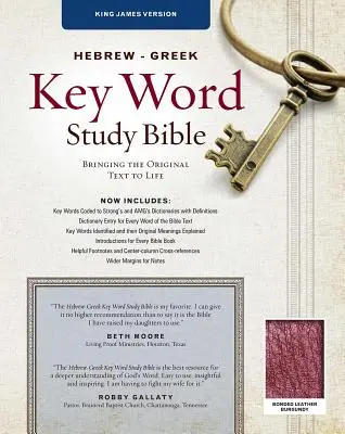 Hebräisch-Griechische Schlüsselwort-Studienbibel-KJV: Wichtige Einblicke in Gottes Wort - Hebrew-Greek Key Word Study Bible-KJV: Key Insights Into God's Word