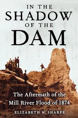 Im Schatten des Staudamms: Die Folgen der Mill River Flut von 1874 - In the Shadow of the Dam: The Aftermath of the Mill River Flood of 1874