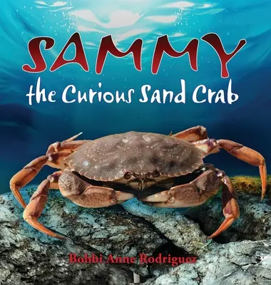 Sammy, die neugierige Sandkrabbe - Sammy the Curious Sand Crab